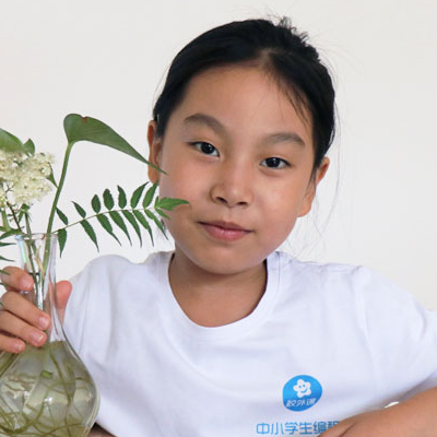 A child, of Grade 3 and Age 8, learning iClever Code online courses